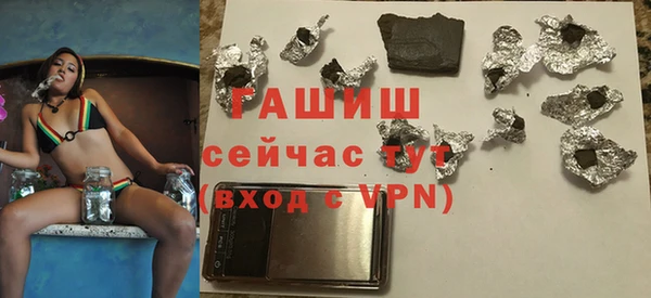 шишки Снежногорск
