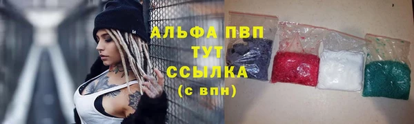 apvp Бородино